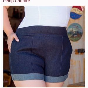 Pinup Girl Clothing High Waisted Shorts - 4X